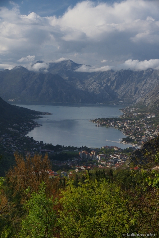 widok na Kotor