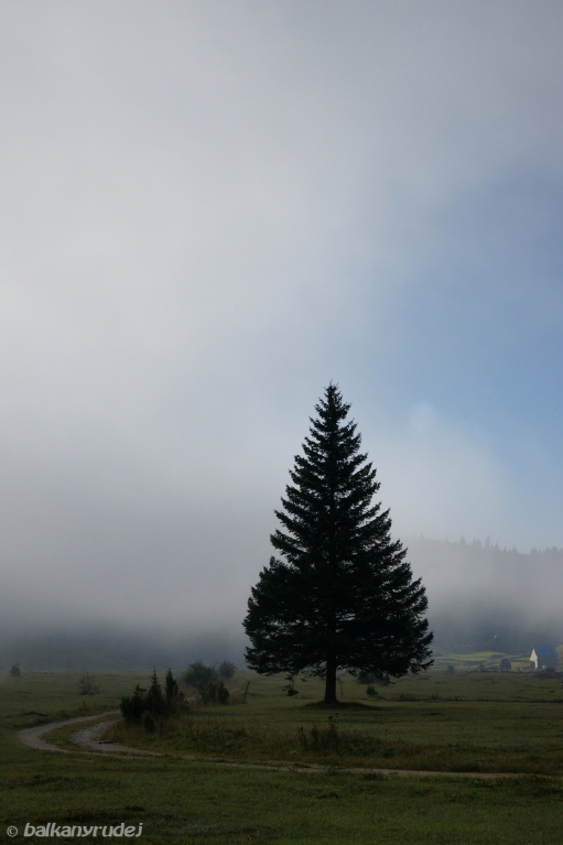 Sinjajevina i mgła